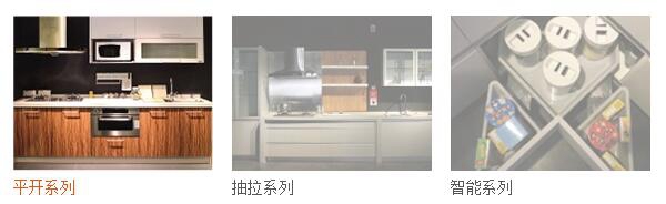 大信橱柜图片欣赏