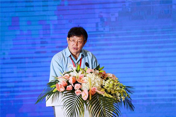 惊艳业内外:大王椰再越巅峰,引航板材市场新格局 惊艳业内外:大王椰再越巅峰,引航板材市场新格局