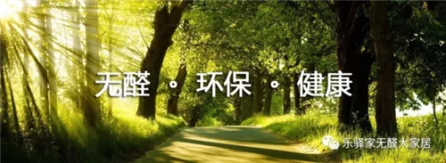 乐驿家：市场再细分，专注无醛健康定制领域