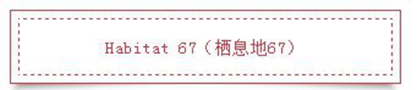 中国大约有100个城市人口密度超过100人/Km²