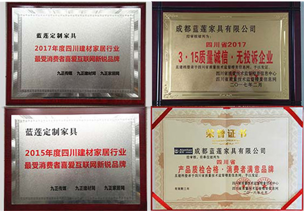 蓝莲衣柜质量好不好 定制唯美蓝莲