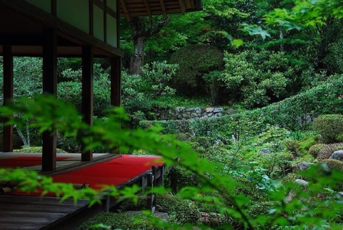 伊恋抹茶绿系列 给你夏日清新一抹绿