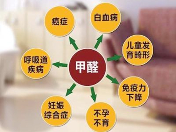 论“净味”才是家具的未来 论“净味”才是家具的未来