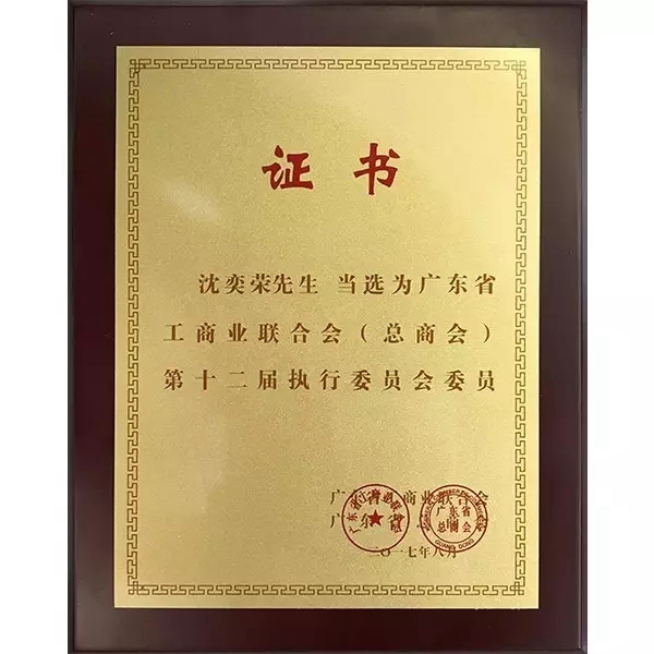 法迪奥董事长沈奕荣荣膺广东省工商联执行委员 法迪奥董事长沈奕荣荣膺广东省工商联执行委员