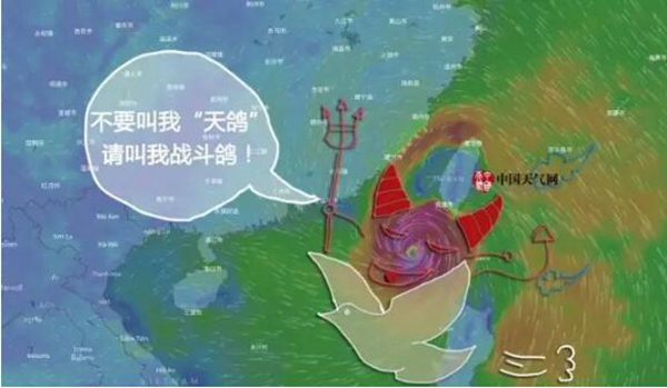 像“天鸽”这种破坏力的台风对窗户有什么要求