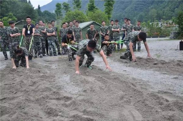 飞宇门窗：携手并进，风雨同路。协作执行，尽显风采