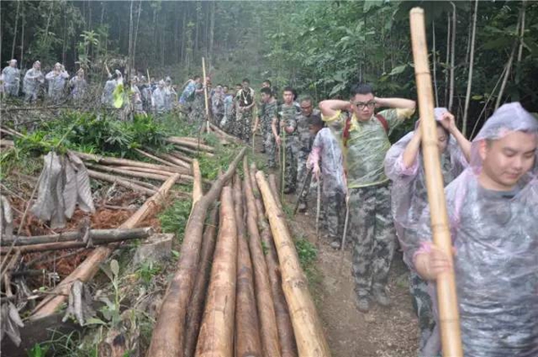 飞宇门窗：携手并进，风雨同路。协作执行，尽显风采