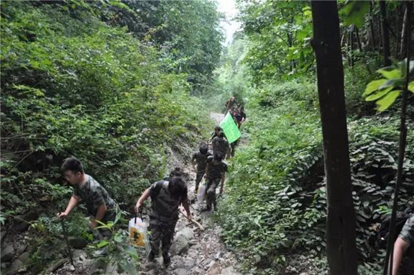 飞宇门窗：携手并进，风雨同路。协作执行，尽显风采