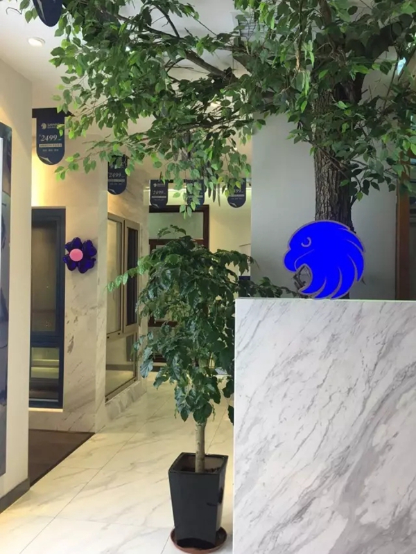 名满洞庭西 声震武陵山：森鹰常德店盛大启幕