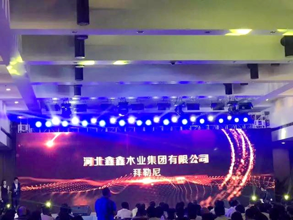 【鑫资讯】热烈庆祝拜勒尼荣获全国“十大密度板品牌”