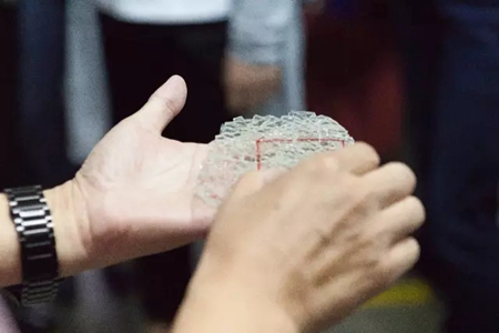 绿建委领导参观双城工厂 加码森鹰工业游