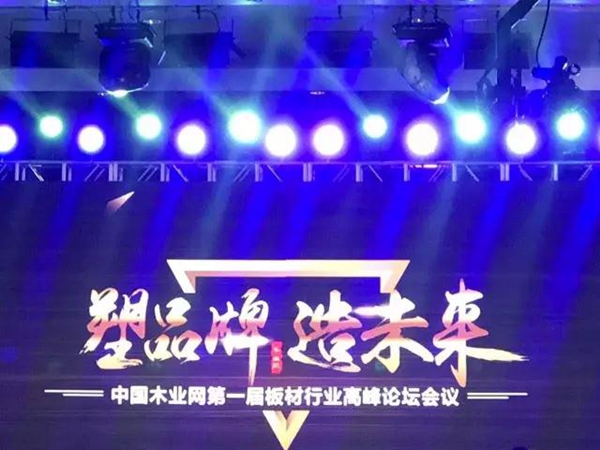 【鑫资讯】热烈庆祝拜勒尼荣获全国“十大密度板品牌”
