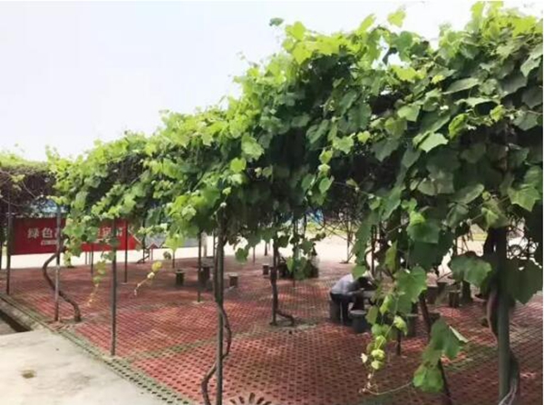 这阳光有点刺头 怎让它待我温柔