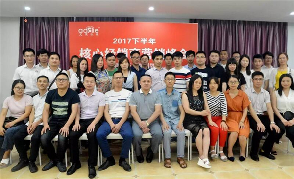 2017艾迪下半年的营销规划暨艾迪三年的战略部署