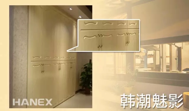 消费者喜爱品牌有哪些 韩丽衣柜好不好