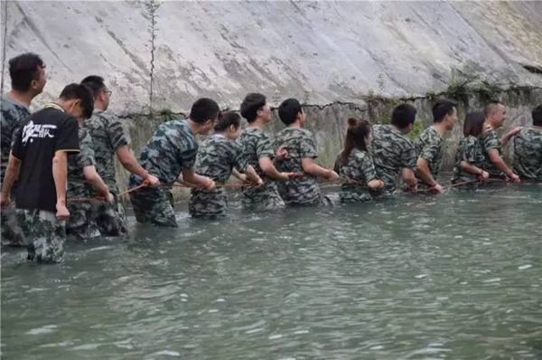飞宇门窗：携手并进，风雨同路。协作执行，尽显风采