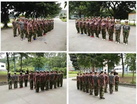 欧哲门窗:高效执行赢未来,誓保目标铸宏图! 欧哲门窗:高效执行赢未来,誓保目标铸宏图!