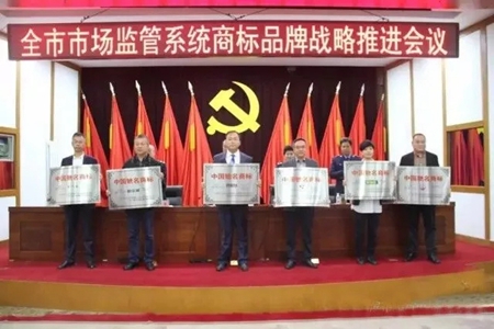 森鹰窗业获颁“中国驰名商标”称号 森鹰窗业获颁“中国驰名商标”称号
