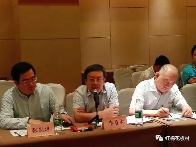 大咖云集,跨界融合 当2025智能家居装备联合实验室遇上红棉花智能板 大咖云集,跨界融合 当2025智能家居装备联合实验室遇上红棉花智能板