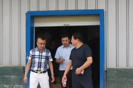 新乡市市政府领导一行莅临欧迪雅参观指导工作！