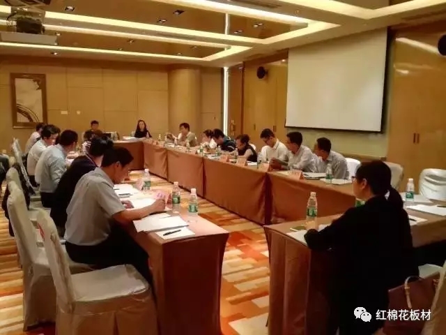 大咖云集,跨界融合 当2025智能家居装备联合实验室遇上红棉花智能板 大咖云集,跨界融合 当2025智能家居装备联合实验室遇上红棉花智能板