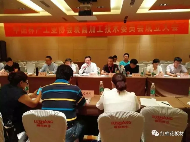 大咖云集,跨界融合 当2025智能家居装备联合实验室遇上红棉花智能板 大咖云集,跨界融合 当2025智能家居装备联合实验室遇上红棉花智能板