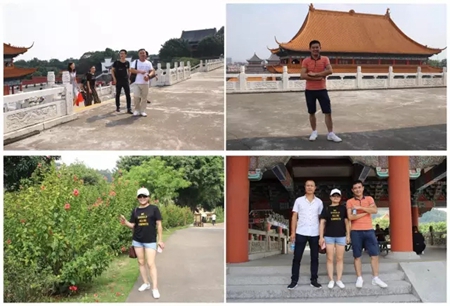 皇家气派 荣耀起航——皇家金牌门窗乔迁新厂，产能翻番