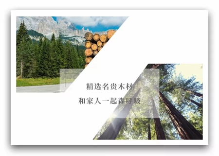 意木轩木门以环保爱护家，以品质守护家