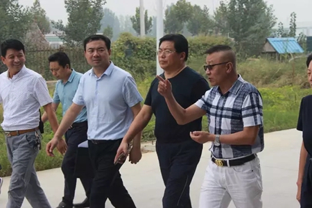 新乡市市政府领导一行莅临欧迪雅参观指导工作！