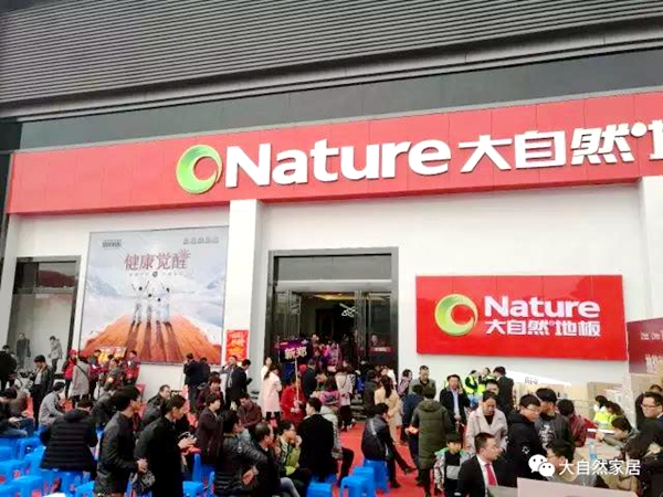 大自然家居，销售额怒破3.9亿，用实力承载野心！