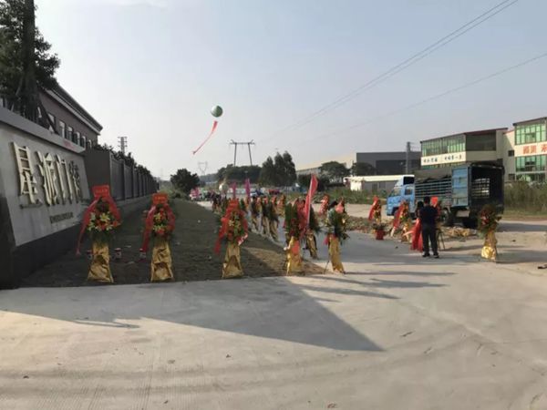 星派门窗开业盛典隆重举行