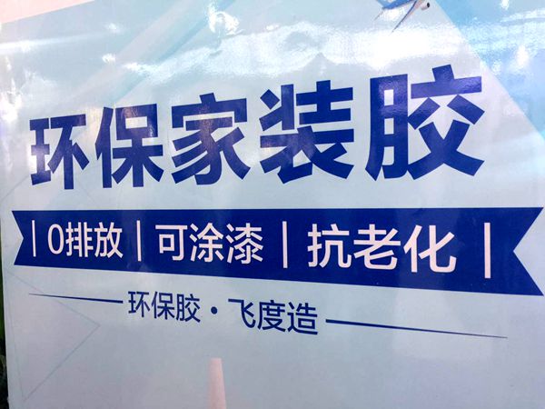 飞度胶业大客户部总监丁晓:加大科研投入,研发创新好产品 飞度胶业大客户部总监丁晓:加大科研投入,研发创新好产品