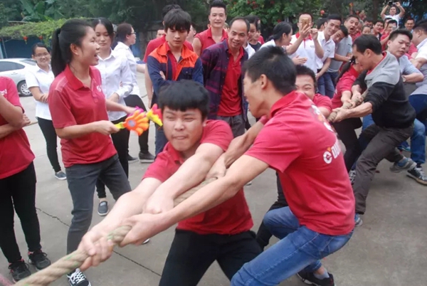 “动起来，拼最棒”伊盾门窗趣味运动会激情启幕，精彩洋溢！