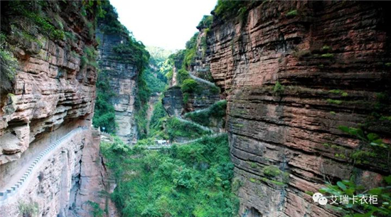 小雀跃，艾瑞卡连下9城，财富快车有少量余票 