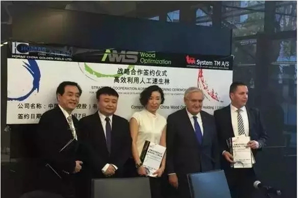 中国优材为木业产业发展注入“新动能”！