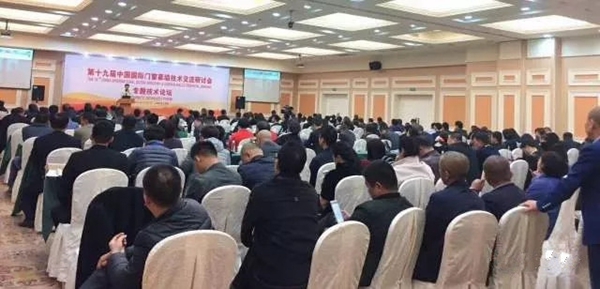聚焦：数千门窗幕墙精英共同见证海鹰成长故事