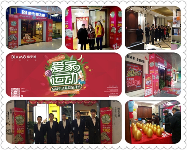 帝安姆2017回顾：辉煌相伴十四载，创新战略领航未来