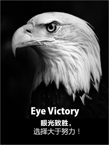 2018门窗发展必然趋势与营销变革高峰论坛暨良木道招商说明会邀请书 2018门窗发展必然趋势与营销变革高峰论坛暨良木道招商说明会邀请书