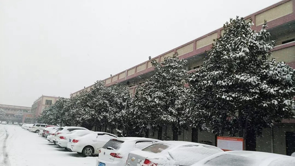 瑞雪兆丰年，伟业万象新，邀你回归童趣