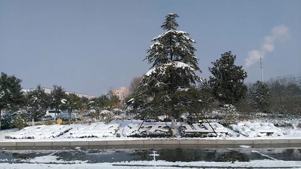 瑞雪兆丰年，伟业万象新，邀你回归童趣