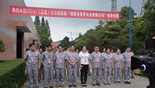 圣保罗木业入围“中国民族品牌”CCTV7《态度》栏目展播