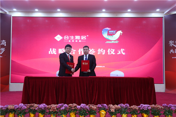 聚势铸大商，共圆千万梦：2018合生雅居全国核心经销商大会胜利召开
