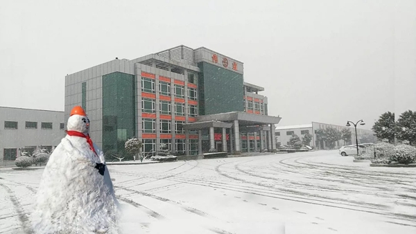 瑞雪兆丰年，伟业万象新，邀你回归童趣