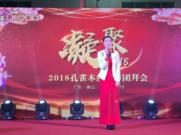 “凝聚”孔雀木纹2018新春团拜会完美收官