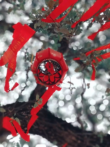 2018,蓄势开启大格局 2018,蓄势开启大格局