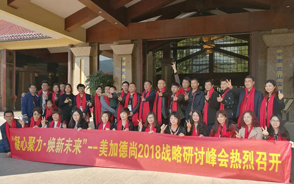 荣耀13载，5大核战力引领美加焕变2018
