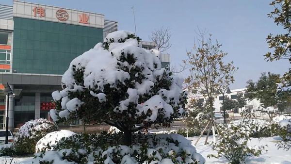 瑞雪兆丰年，伟业万象新，邀你回归童趣