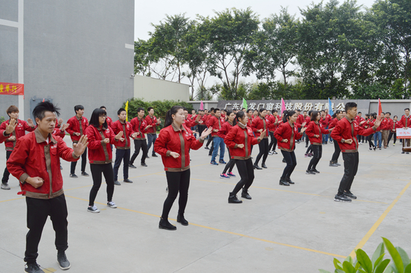 怡发门窗第二届无极咏春拳巅峰对决成功举行！