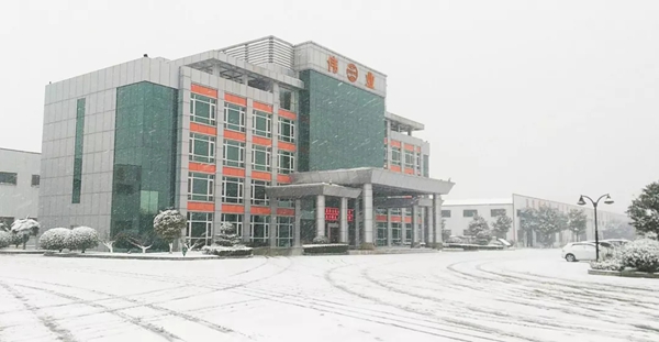 瑞雪兆丰年，伟业万象新，邀你回归童趣