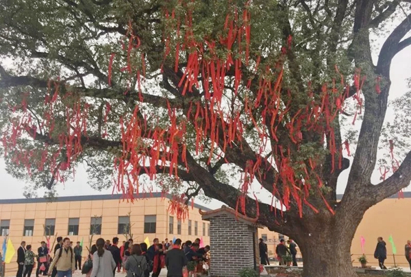 2018,蓄势开启大格局 2018,蓄势开启大格局